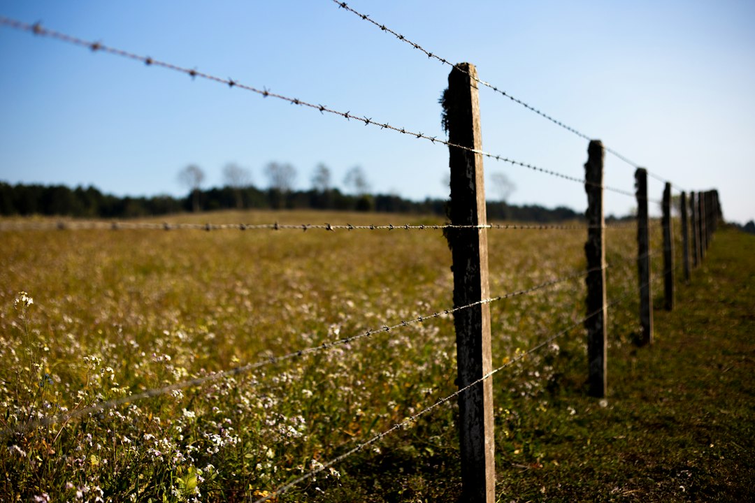 Farm Boundary Barbed Wire