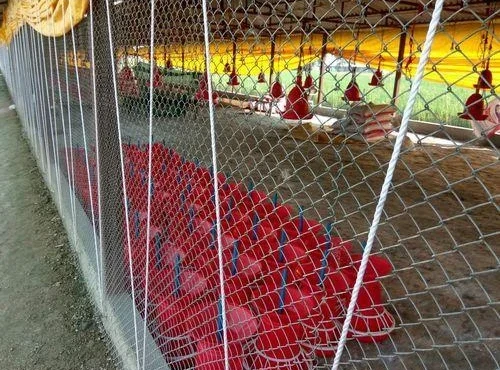 Farm Boundary Security