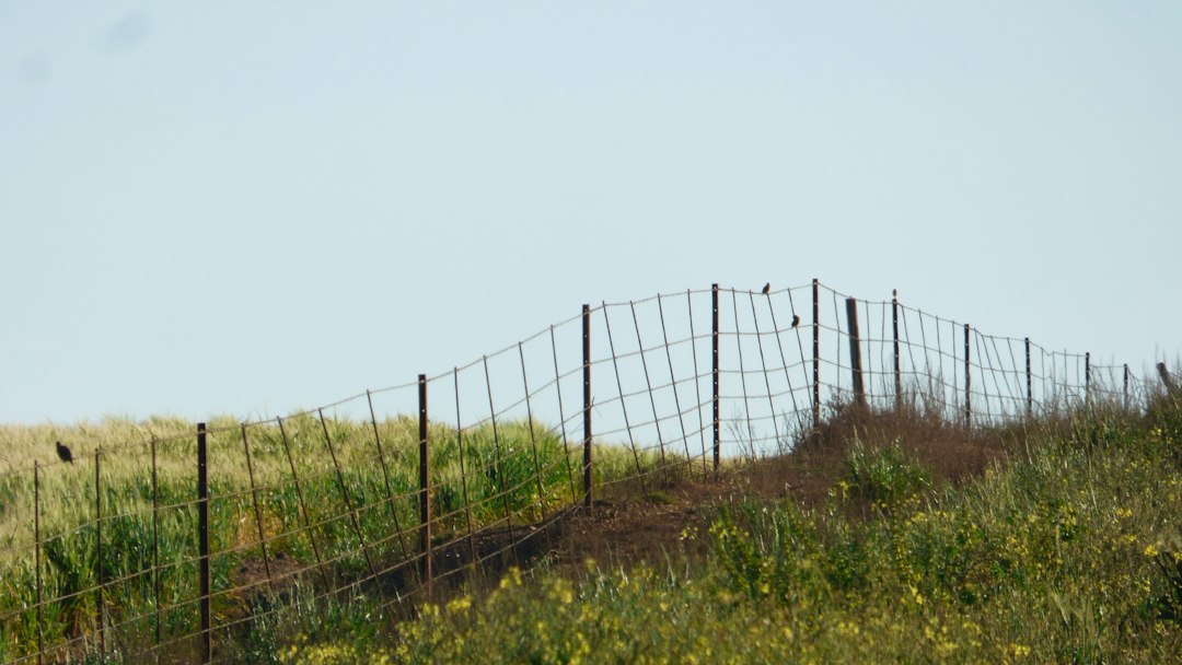 Tata Knotted Grassland Fencing installed in rural pasture