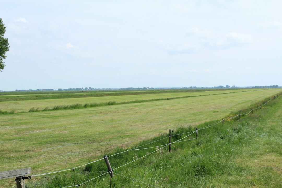 Agricultural farmlands boundary fencing
