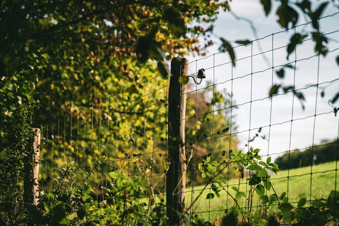 Solar power plant and perimeter boundary fencing