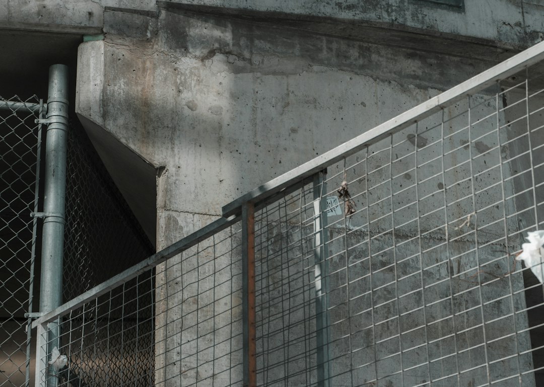 Galvanized Welded Wire Mesh